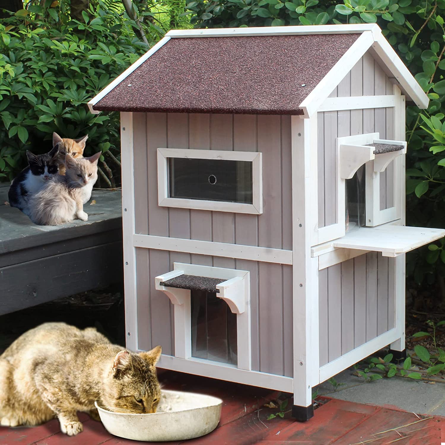 Feral cat feeding station, Outdoor cat feeding station
