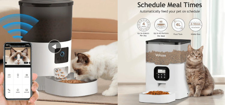 4 best Automatic Cat Feeders
