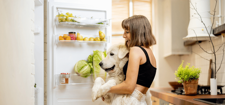 How Temperature Affects Pet Food