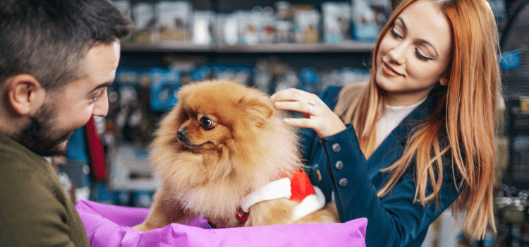 What to look for when buying stainless steel pet food storage containers