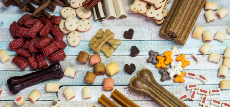 How to store pet food